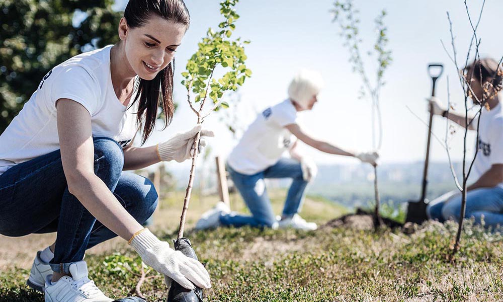 CO2-neutraler Versand mit DHL GoGreen